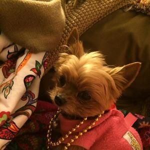 Meet your Posher, Gail